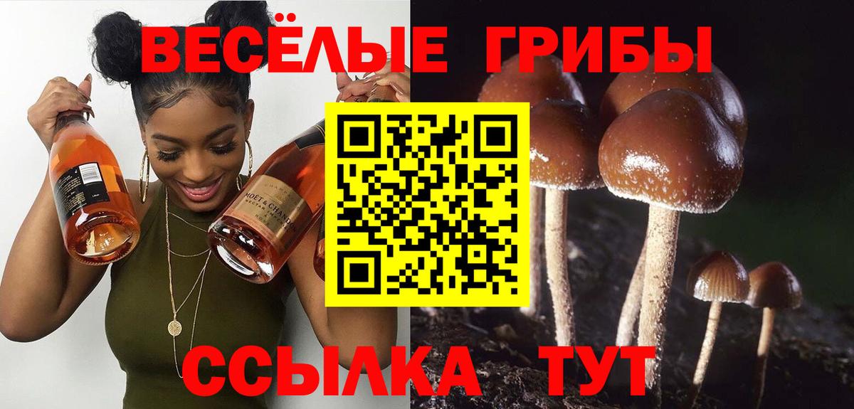 Псилоцибиновые грибы мухоморы Соликамск