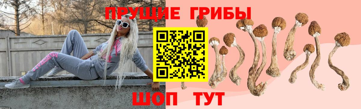 Соликамск  Псилоцибиновые грибы Magic Shrooms  Вход с VPN 